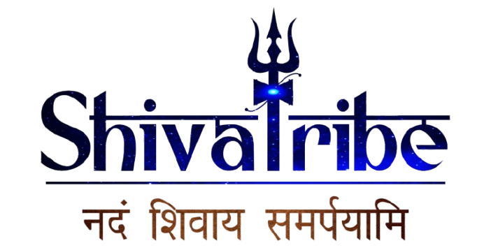 ShivaTribe logo
